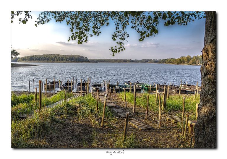 L&rsquo;étang du Stock est un vaste plan d&rsquo;eau situé dans le département de la Moselle, en France. Il s&rsquo;étend sur environ 750 hectares et est connu pour sa beauté naturelle et ses activités nautiques, telles que la pêche et le canoë.